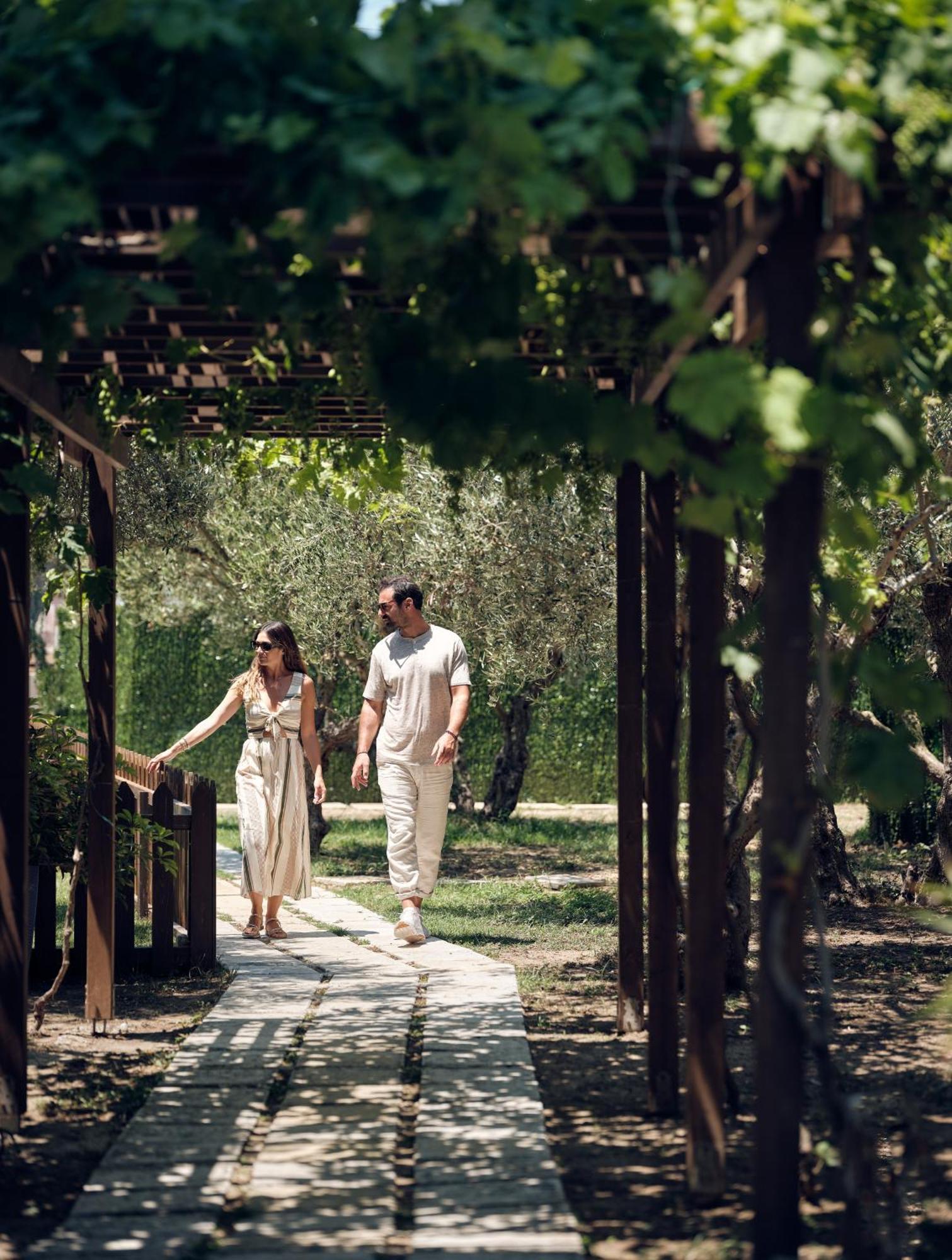 Lesante Classic, A Member Of Preferred Hotels & Resorts Tsilivi  Luaran gambar